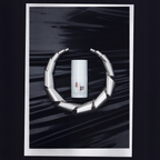 THE MOLECULE ESSENCE
